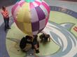 Balloons_012